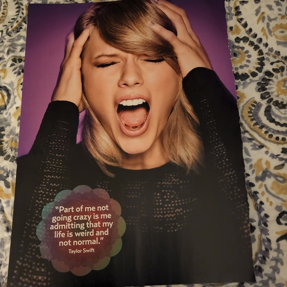 Taylor Swift Double Sided Pinup - Picture 1 of 2